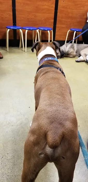 Banfield Pet Hospital Picture 10