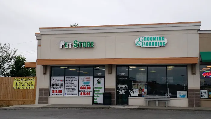 GoLizards Grooming, Boarding and Daycare Picture 2