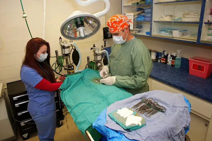Westfield Animal Hospital Picture 1
