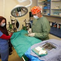 Westfield Animal Hospital ico