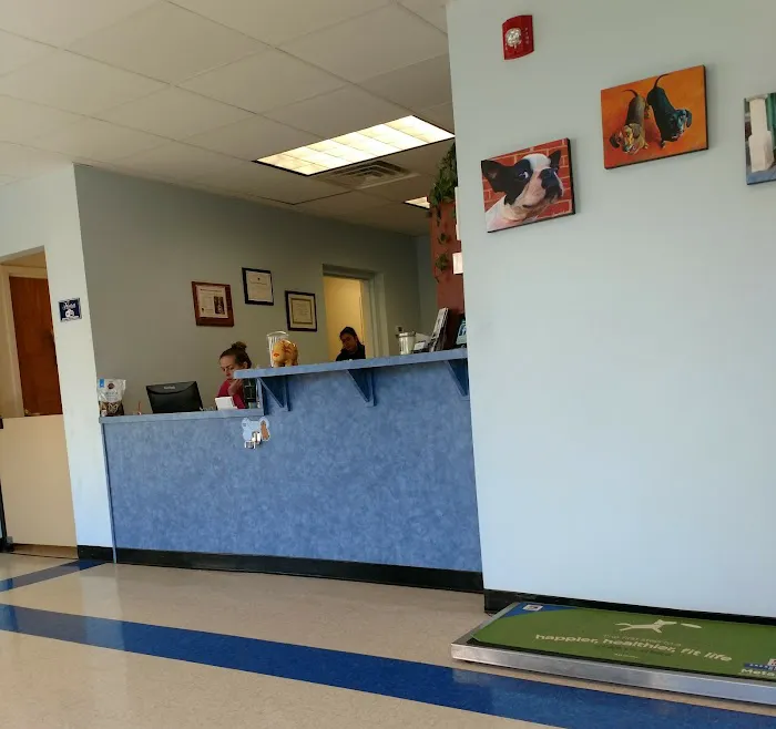 Westfield Animal Hospital Picture 6