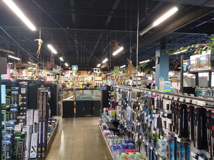 Pet World Experience Picture 5
