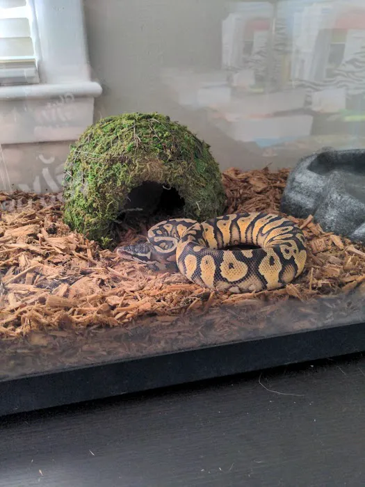 Pet World Experience Picture 3