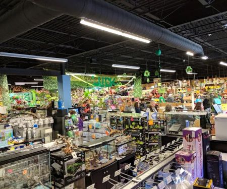 Pet World Experience