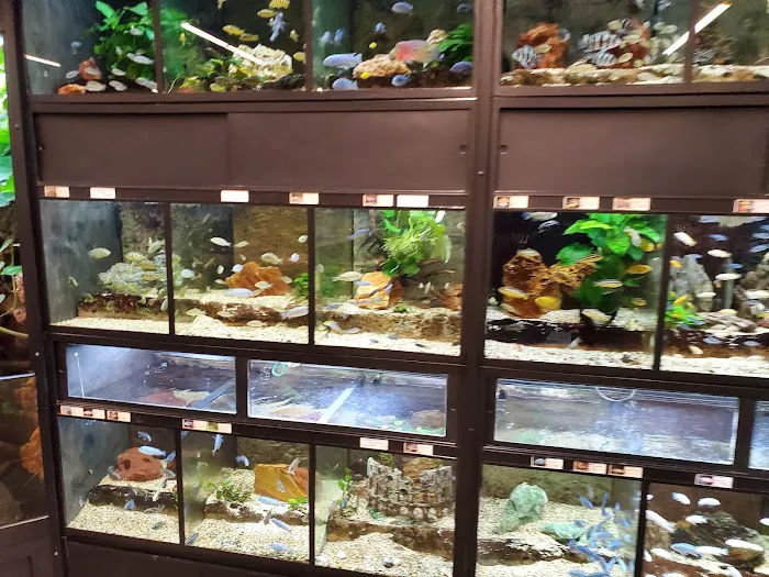 Pet World Experience Picture 7