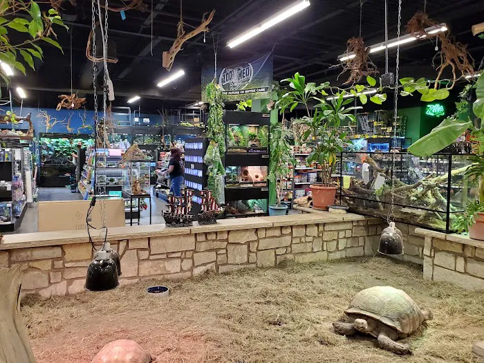 Pet World Experience Picture 8