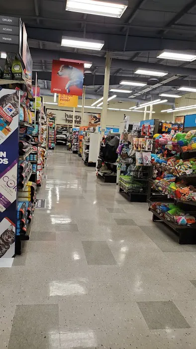 Petco Picture 1