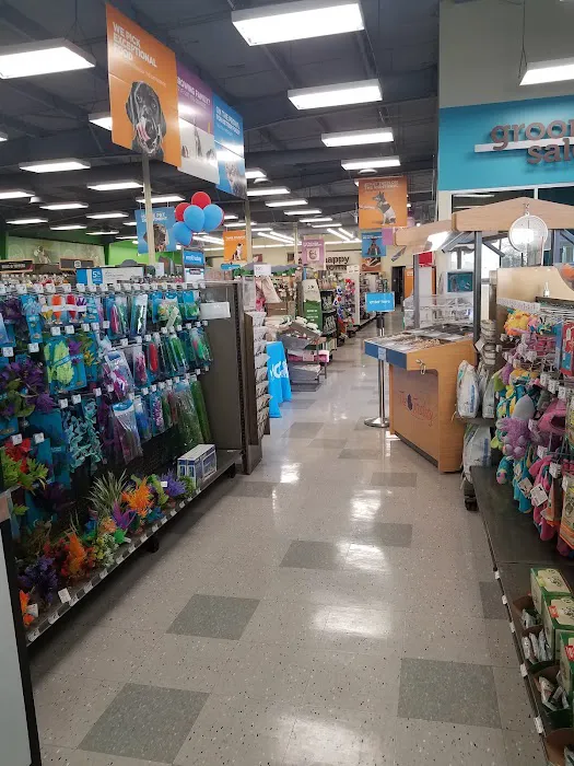 Petco Picture 4