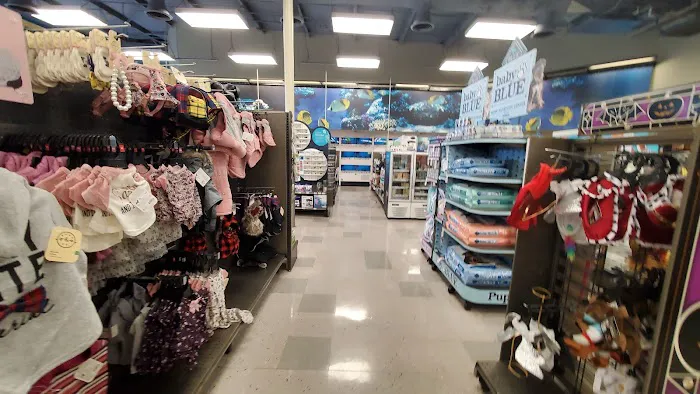 Petco Picture 7