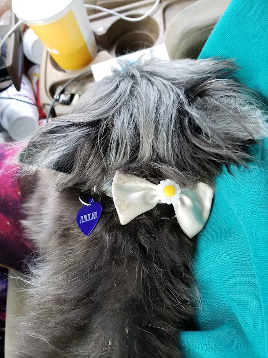 Petco Picture 8