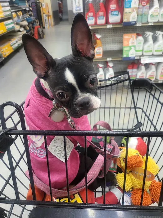 Petco Picture 10