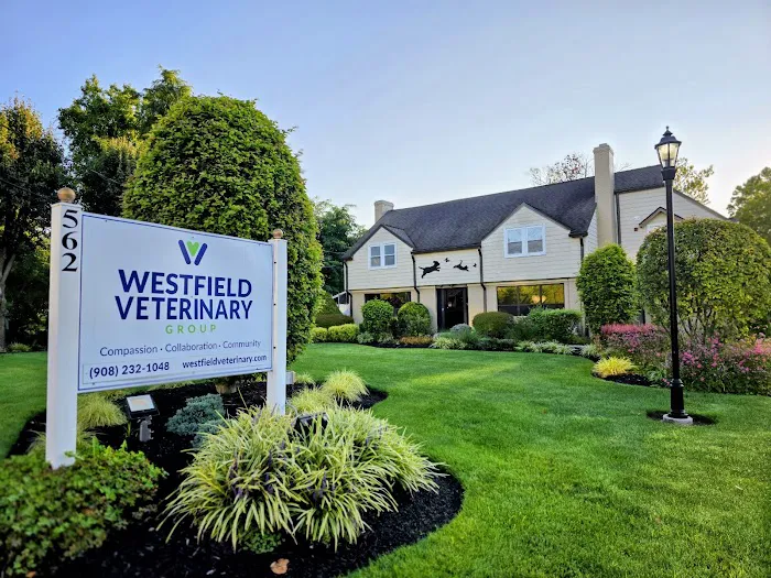 Westfield Veterinary Group Picture 9