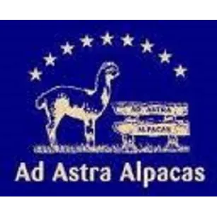 Ad Astra Alpacas Picture 8
