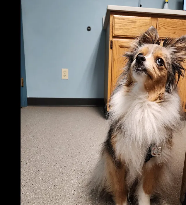 Wood River Animal Hospital Picture 4