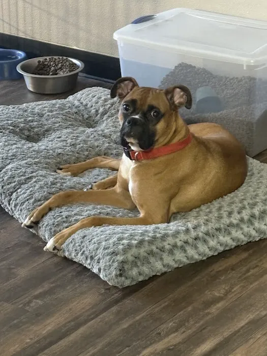 Petco Picture 10