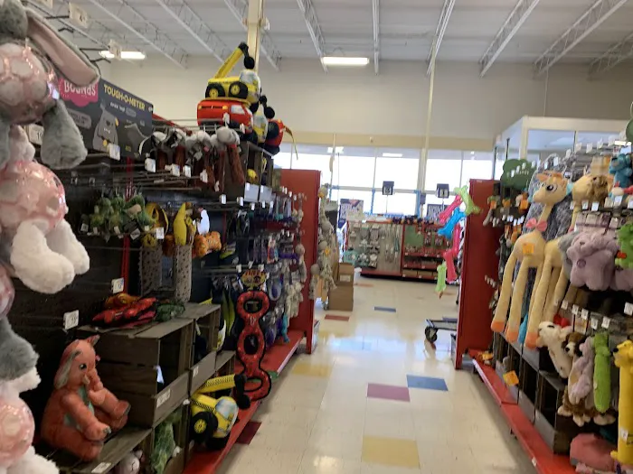 Petco Picture 6