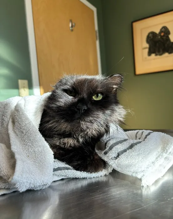 West Greenwich Animal Hospital Picture 6
