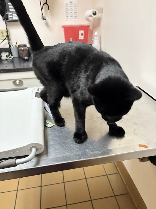 West Greenwich Animal Hospital Picture 7