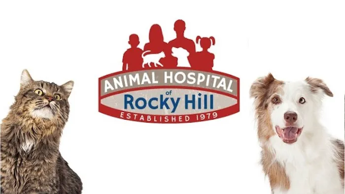 Animal Hospital of Rocky Hill Picture 4