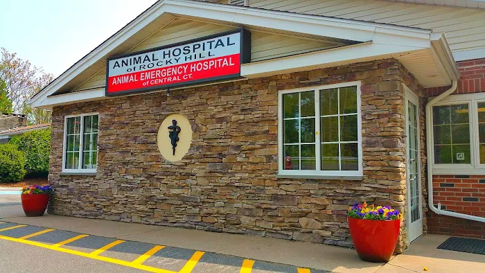 Animal Hospital of Rocky Hill Picture 7