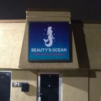 Beautys Ocean ico