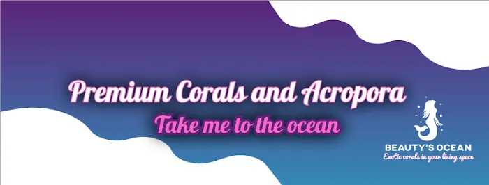 Beautys Ocean Picture 2