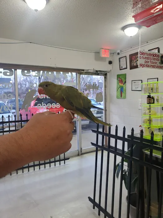 Exotic Birds Shop Picture 8