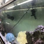 Tropical Treasures LLC