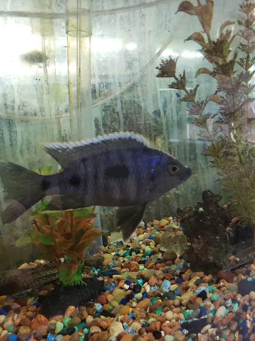 Tropical Treasures LLC Picture 10