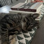 Compassionate Care Veterinary Hospital