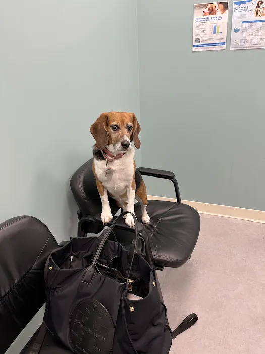Compassionate Care Veterinary Hospital Picture 9