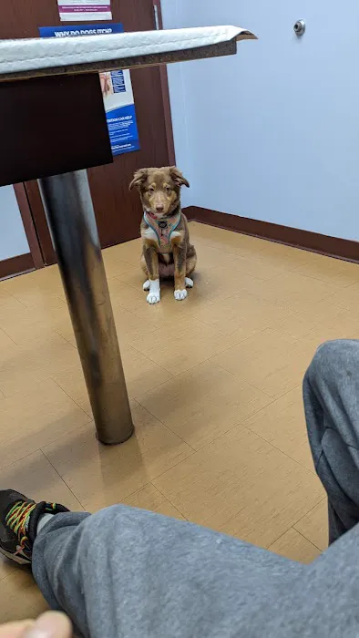 Compassionate Care Veterinary Hospital Picture 6