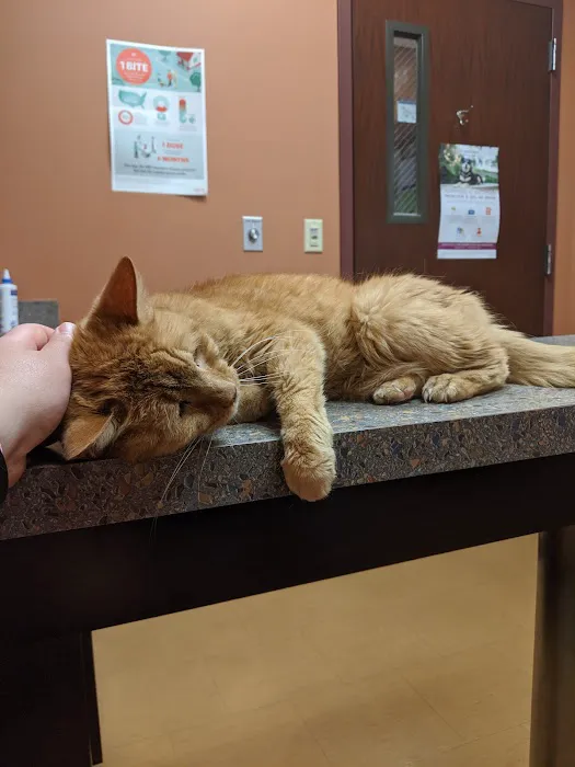 Compassionate Care Veterinary Hospital Picture 8