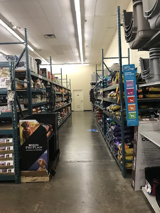Petco Picture 2