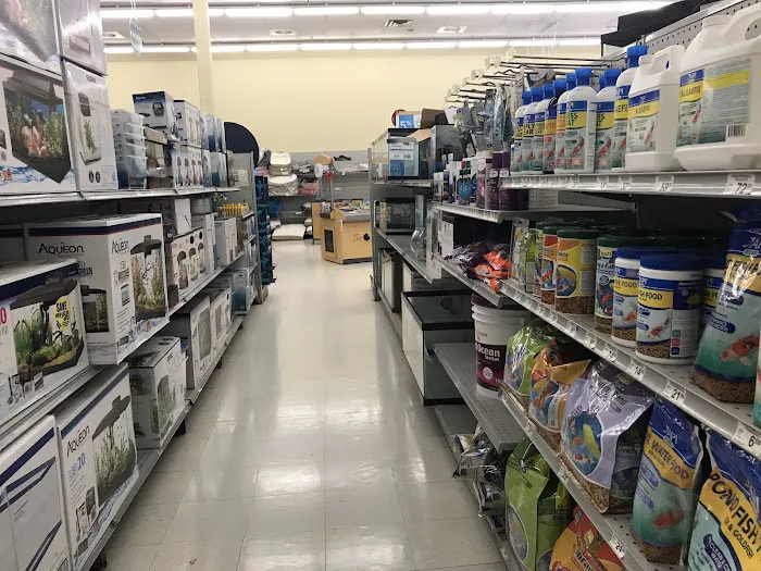 Petco Picture 6