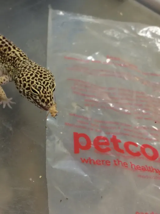 Petco Picture 7