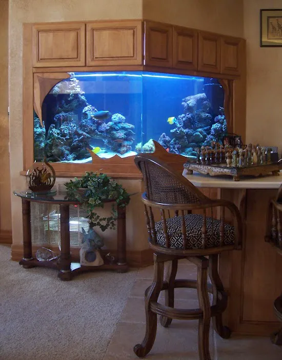 Delicate Beauty Aquariums Picture 1