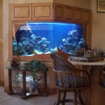 Delicate Beauty Aquariums
