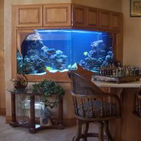 Delicate Beauty Aquariums ico