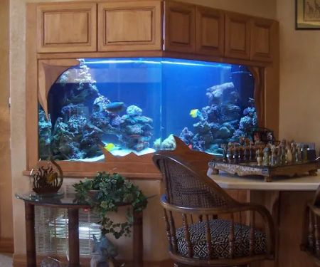 Delicate Beauty Aquariums