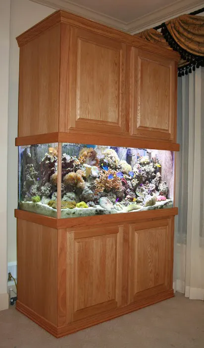 Delicate Beauty Aquariums Picture 6
