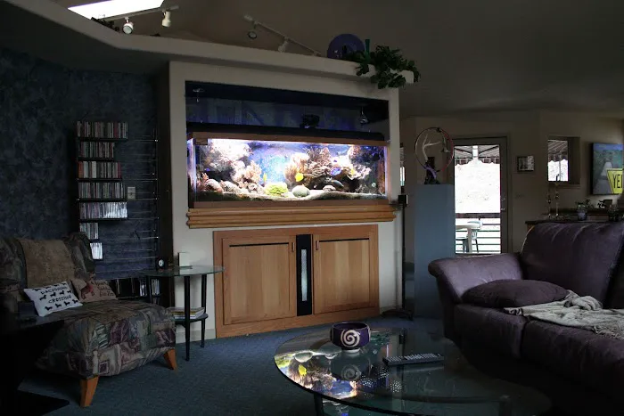 Delicate Beauty Aquariums Picture 9