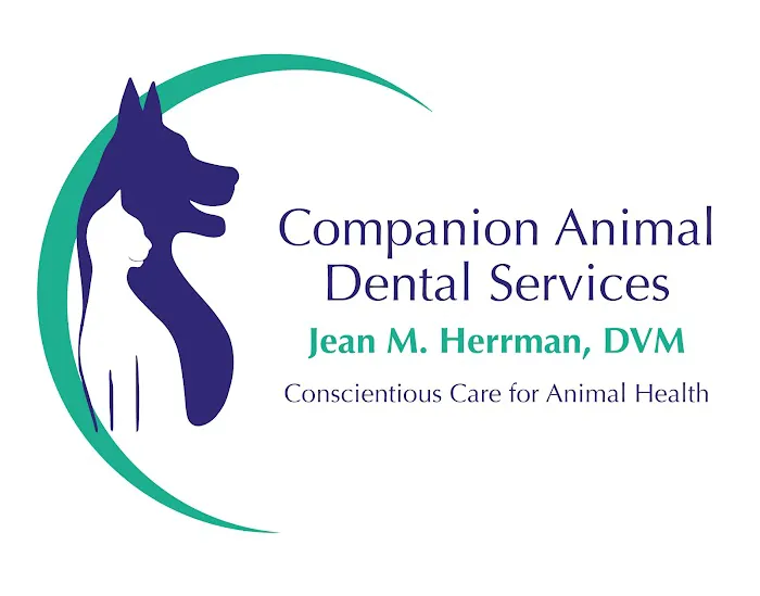 Companion Animal Dental Services Picture 2