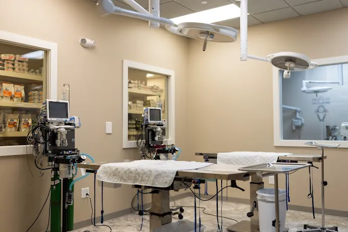 Fenton River Veterinary Hospital Picture 8