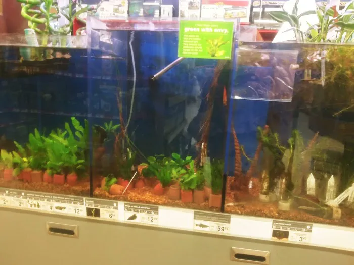 Petco Picture 3