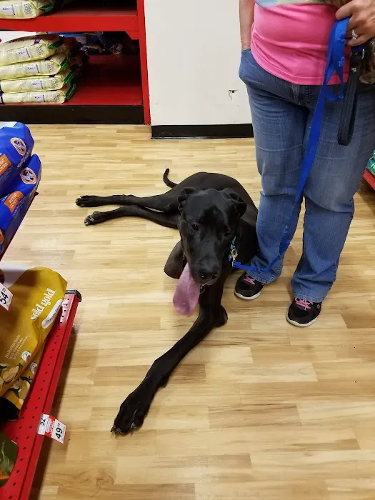 Petco Picture 10