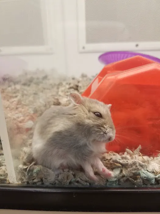 Petco Picture 10