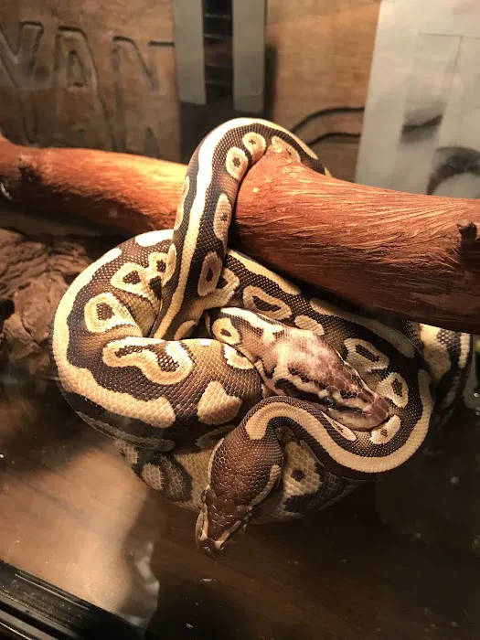 Petco Picture 2