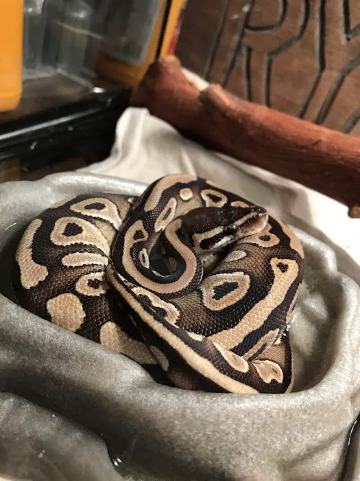 Petco Picture 1
