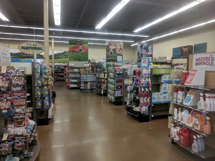 Petco Picture 7
